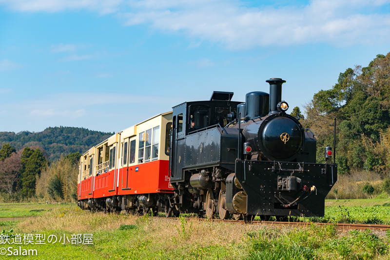 小湊鉄道　里山トロッコ_f0229311_22121540.jpg