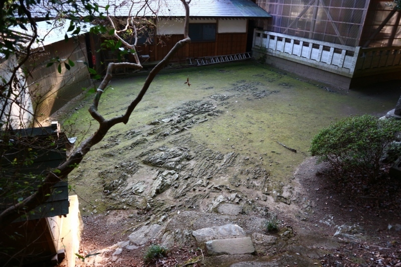 d0371812_22383356.jpg