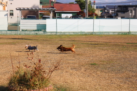 f0170713_17285709.jpg