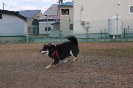 f0170713_17325363.jpg
