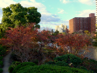 a0238314_11005730.jpg
