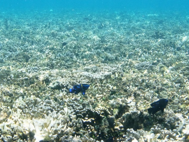 c0211615_12353204.jpg