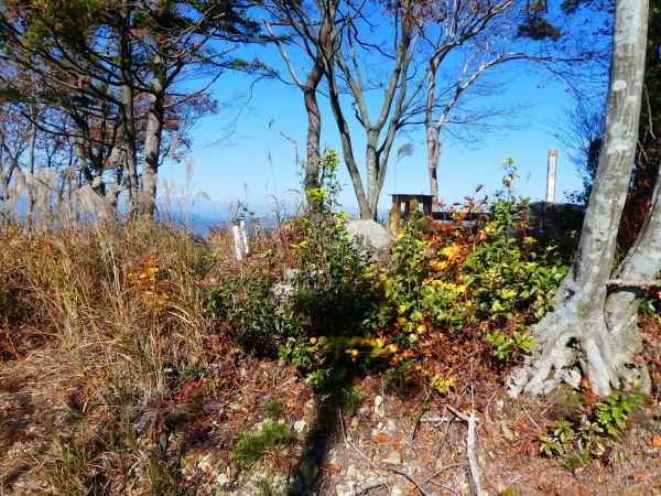 岐阜県八百津町の名峰　見行山 (905.1M)  登頂_d0170615_10171697.jpg