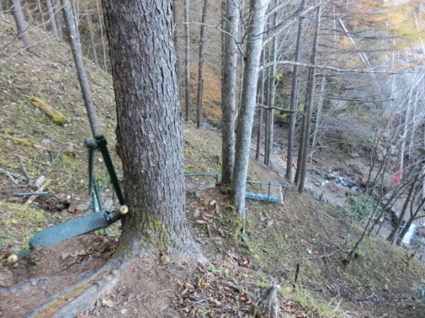 群馬・上野村　御巣鷹の尾根（日航123便墜落地）へ。（平成三十年十月三十日・二部③）_d0221319_17200998.jpg