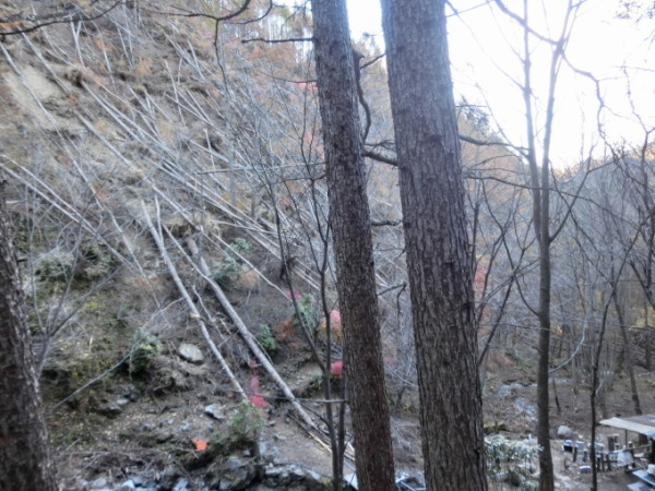 群馬・上野村　御巣鷹の尾根（日航123便墜落地）へ。（平成三十年十月三十日・二部③）_d0221319_17203241.jpg