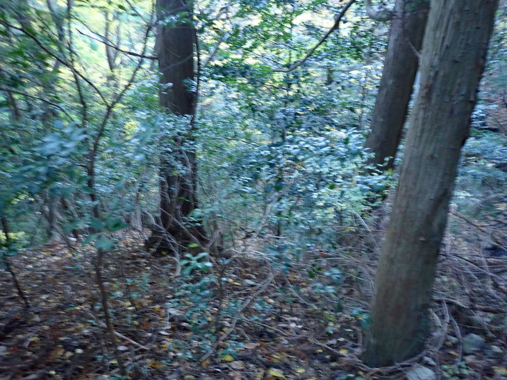 f0193521_12134134.jpg