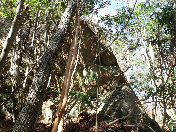 f0193521_12165174.jpg