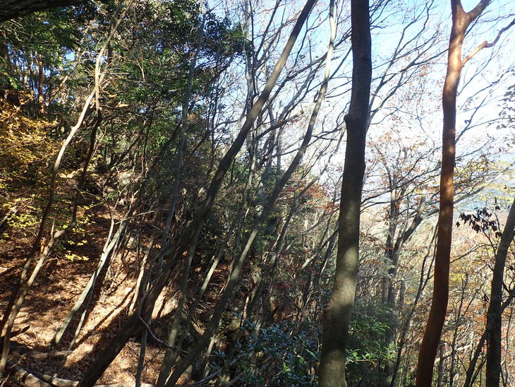 f0193521_12204528.jpg
