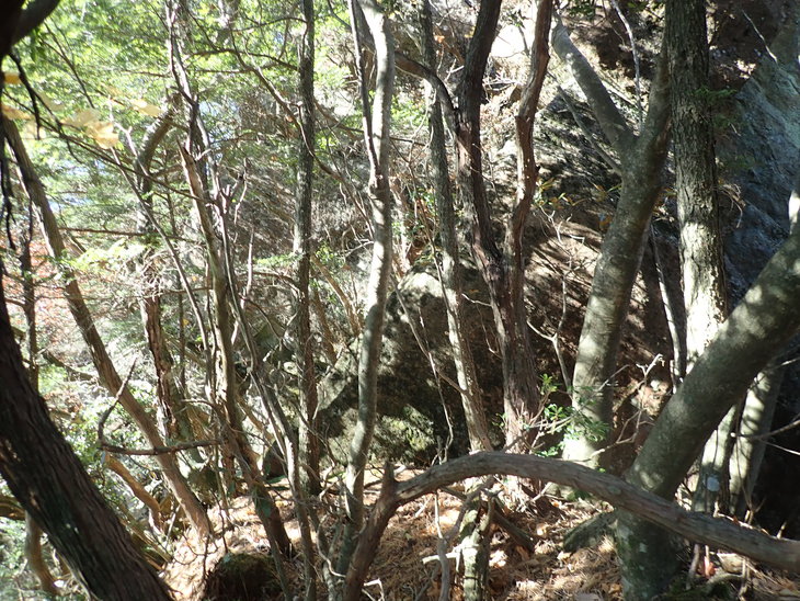 f0193521_21143710.jpg