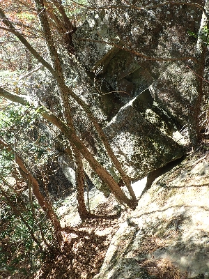 f0193521_21184797.jpg