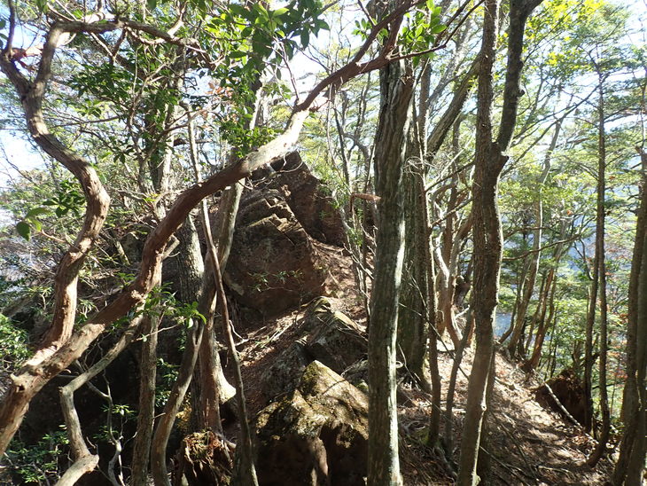 f0193521_21195170.jpg