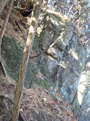 f0193521_2192795.jpg