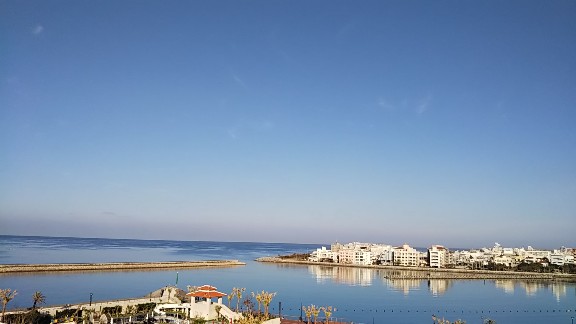 e0047322_1473319.jpg