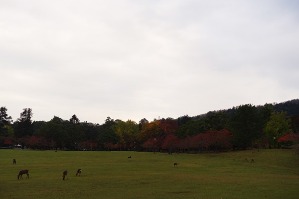 e0192725_20353953.jpg