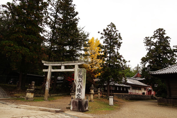 早朝の手向山八幡宮で紅葉と蟹を見た　2018_e0192725_21044486.jpg