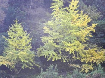 f0213825_12543611.jpg