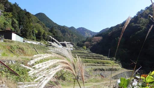 f0213825_14225640.jpg