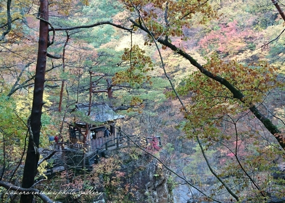 「二週続けての日光旅 Ⅰ」龍王峡の散歩道_d0372528_11292268.jpg