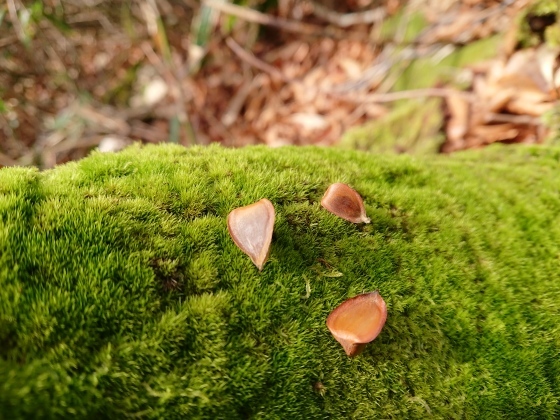 f0118332_17015733.jpg