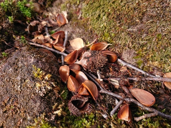 f0118332_17025224.jpg