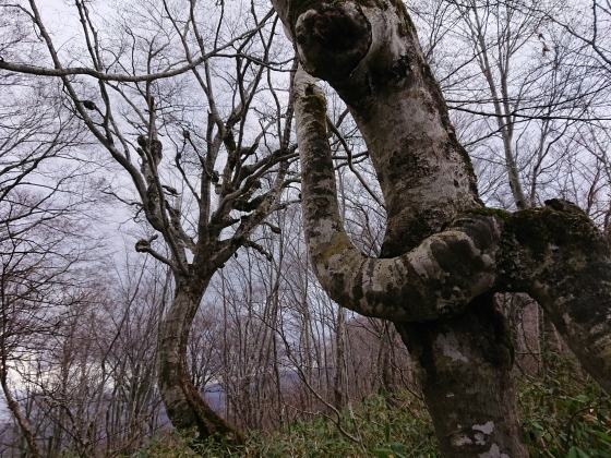 f0118332_17031961.jpg