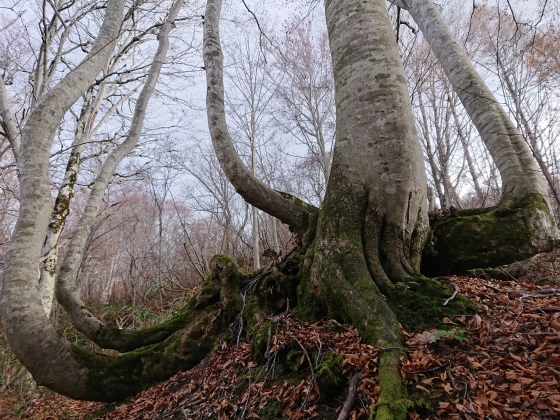 f0118332_17035157.jpg