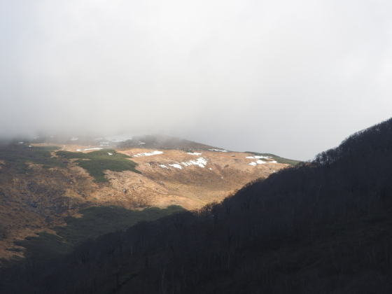 f0118332_17071513.jpg