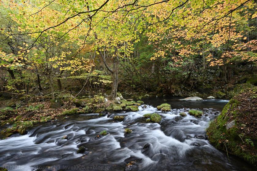 e0362037_20085250.jpg