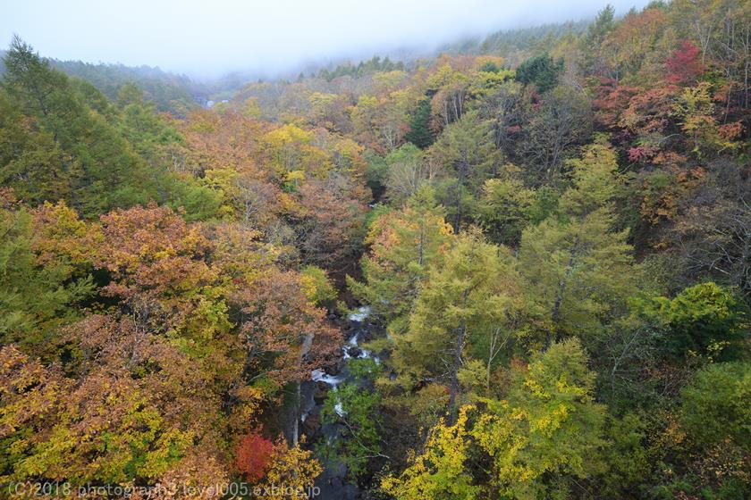 八千穂高原 八ヶ嶺橋 紅葉 2_e0362037_20313983.jpg