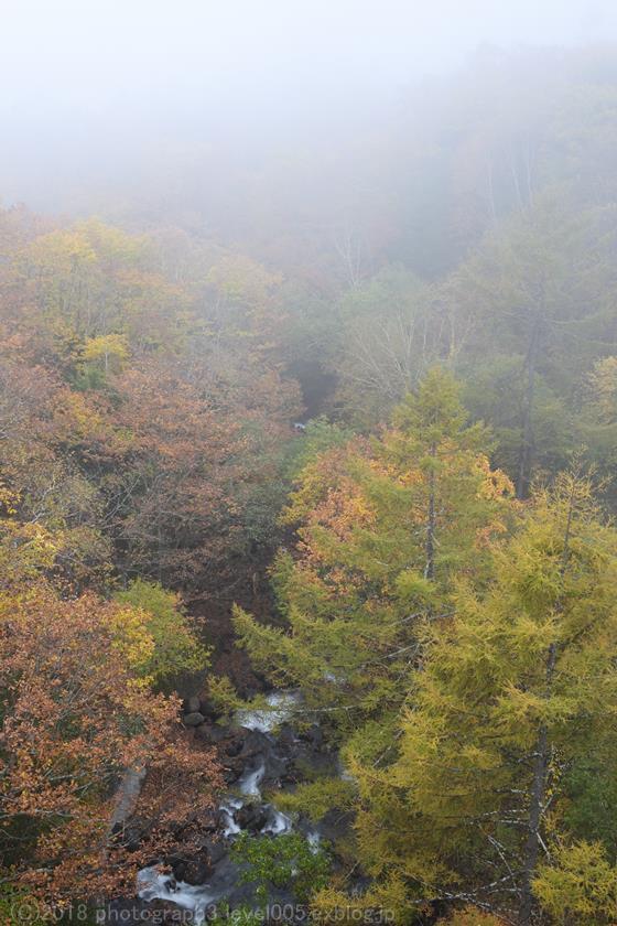 e0362037_20314144.jpg