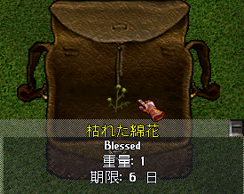b0402739_23185831.png