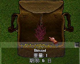 b0402739_23191365.png