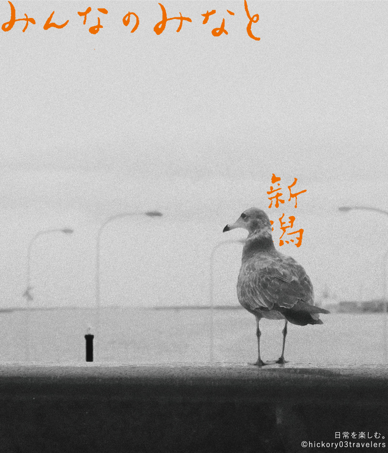 4月から実はチャレンジしていること_e0031142_14491304.jpg