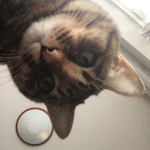 f0372445_18001660.jpeg