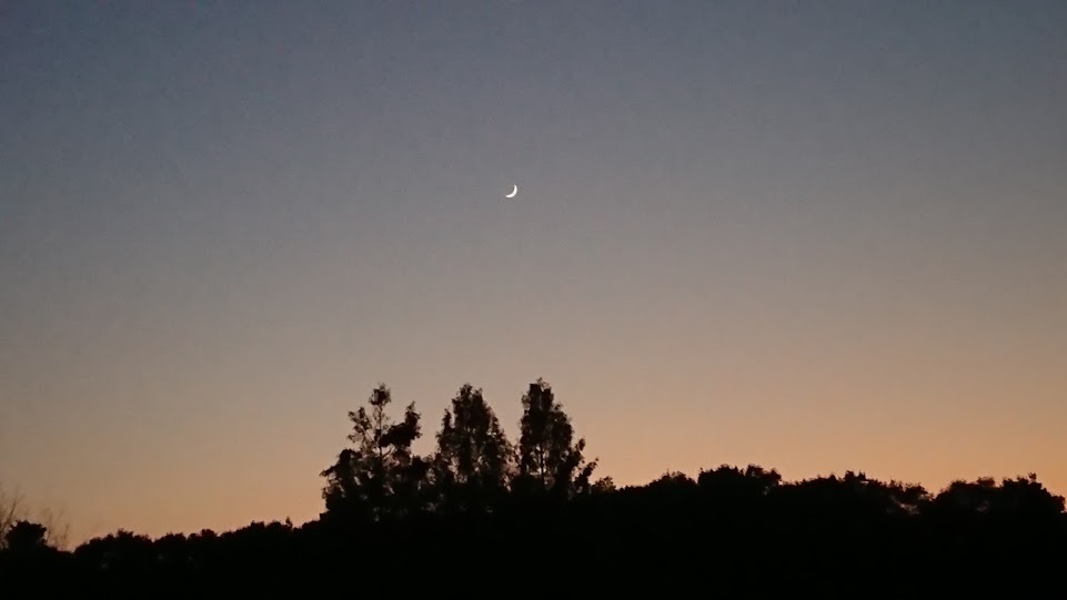 e0345848_21103056.jpg