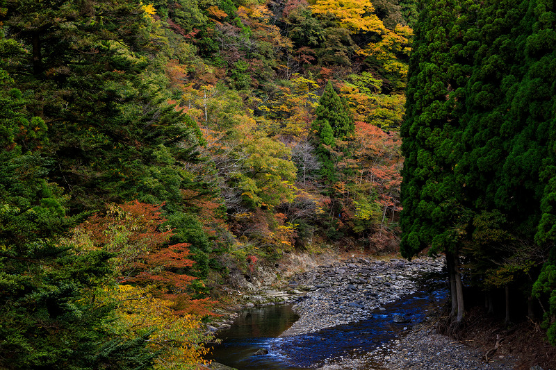 Opening！京の紅葉2018 山深き峰定寺の秋_f0155048_21203388.jpg