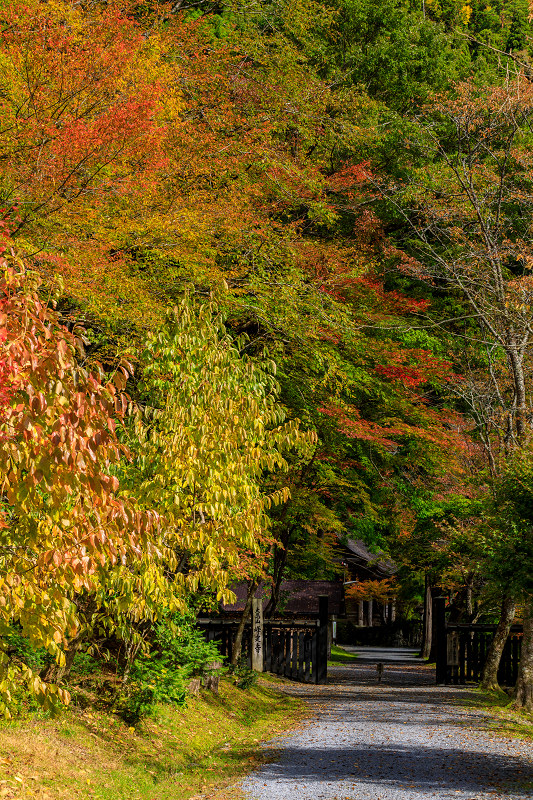 Opening！京の紅葉2018 山深き峰定寺の秋_f0155048_21232997.jpg