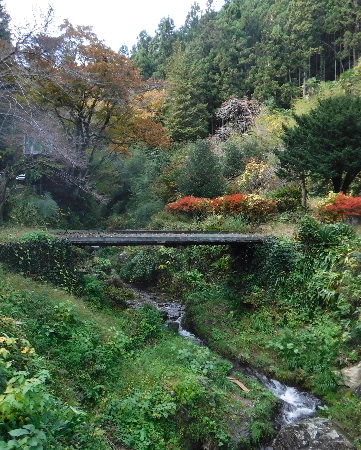 e0172950_6563362.jpg