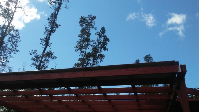 b0126453_04592348.jpg