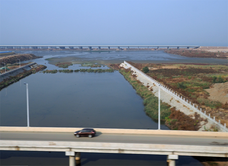f0140054_21013761.jpg