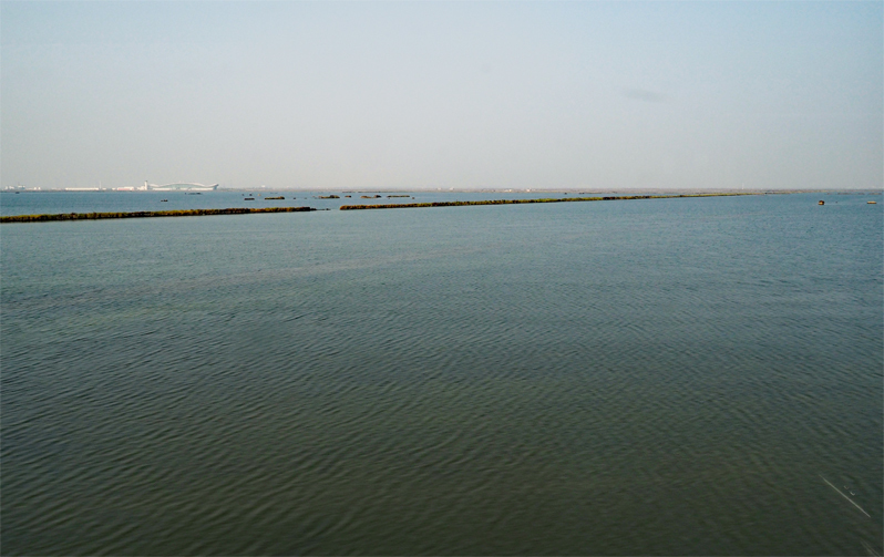 f0140054_21015348.jpg