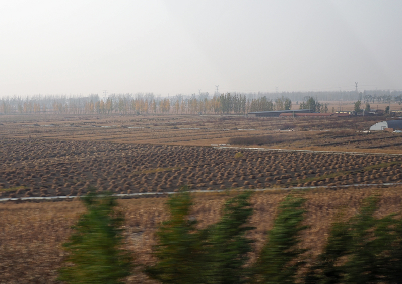 f0140054_21015906.jpg