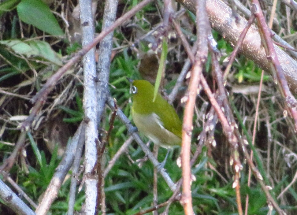 a0018655_09125919.jpg