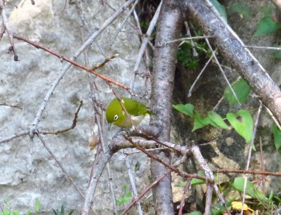 a0018655_09130063.jpg