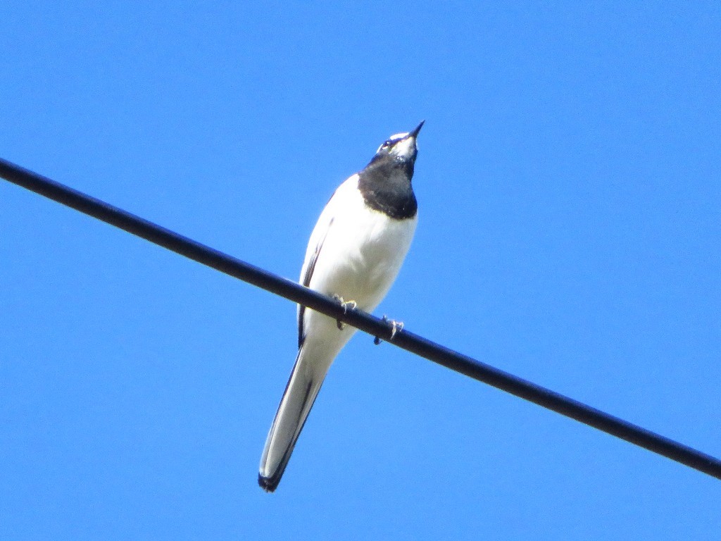 a0018655_09184052.jpg