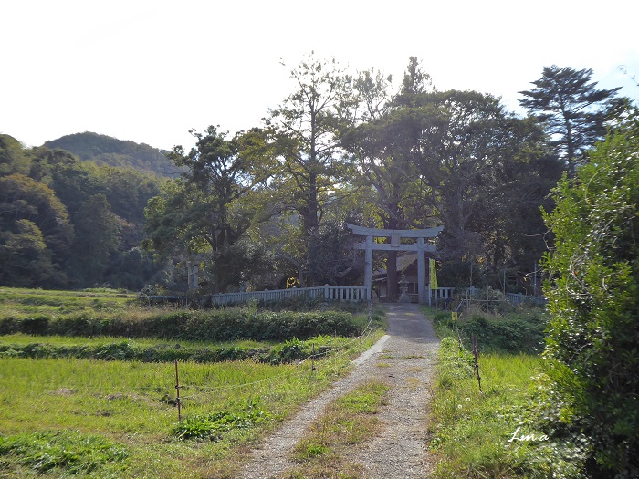 ワダツミ33 大国主神社_c0222861_1615596.jpg