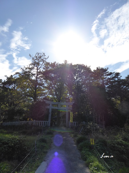 ワダツミ33 大国主神社_c0222861_16171112.jpg