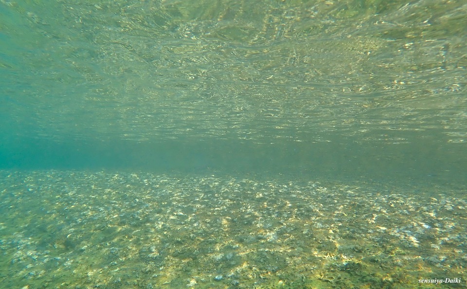 e0158261_07350875.jpeg