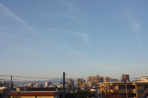 c0169176_07480189.jpg