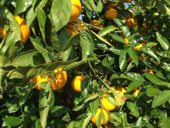 c0344679_19014425.jpeg